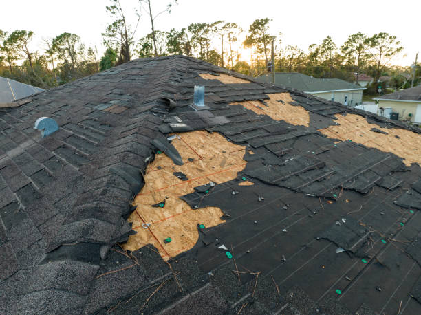 Best Rubber Roofing (EPDM, TPO)  in Cutler Bay, FL